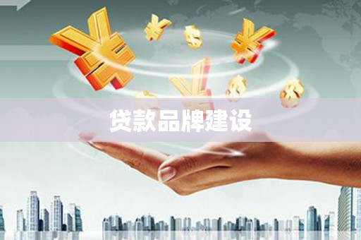 紫阳贷款品牌建设