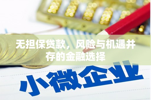 紫阳无担保贷款，风险与机遇并存的金融选择