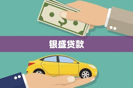 紫阳银盛贷款