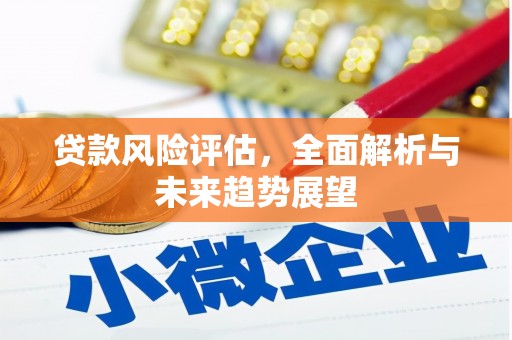 紫阳贷款风险评估，全面解析与未来趋势展望