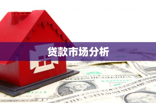 紫阳贷款市场分析