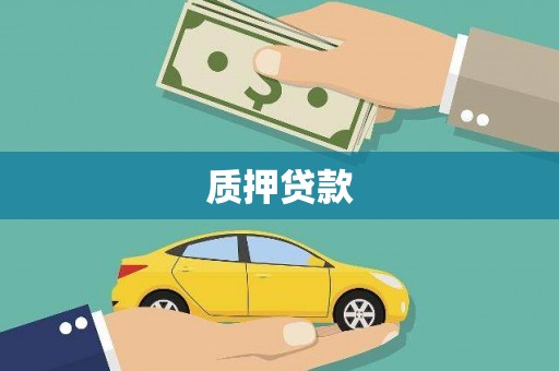 紫阳质押贷款