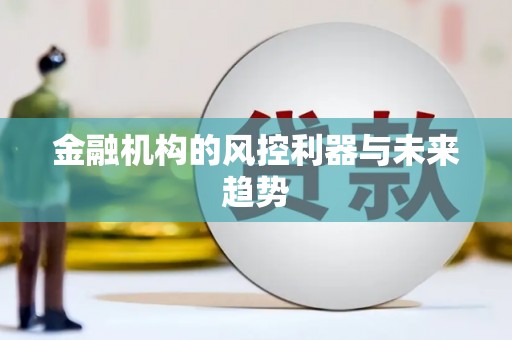 紫阳金融机构的风控利器与未来趋势