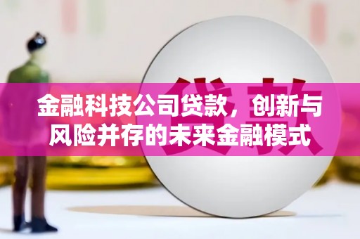 紫阳金融科技公司贷款，创新与风险并存的未来金融模式