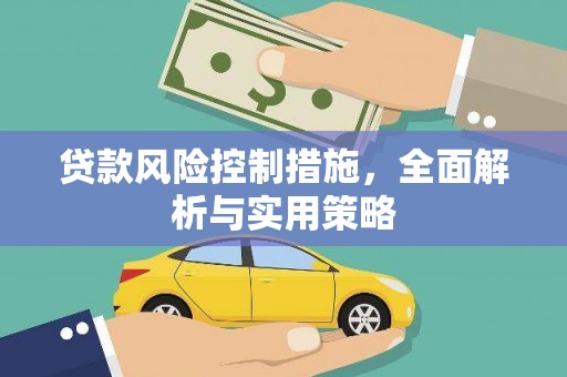 紫阳贷款风险控制措施，全面解析与实用策略