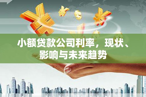 紫阳小额贷款公司利率，现状、影响与未来趋势