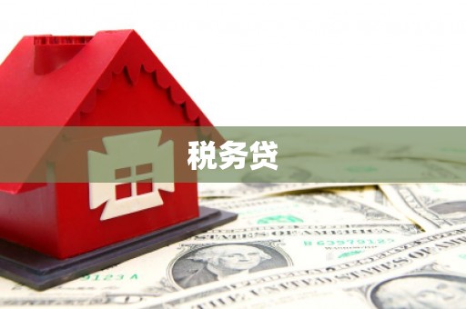 紫阳税务贷