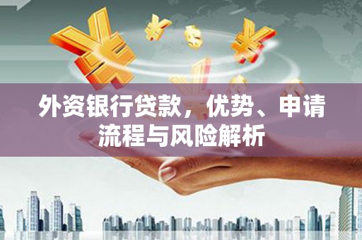 紫阳外资银行贷款，优势、申请流程与风险解析