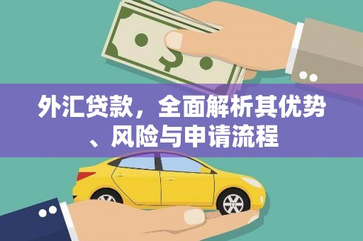 紫阳外汇贷款，全面解析其优势、风险与申请流程
