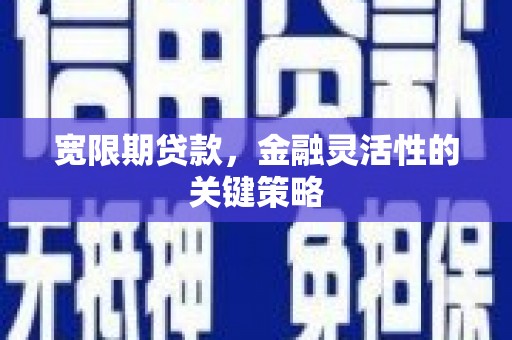 紫阳宽限期贷款，金融灵活性的关键策略