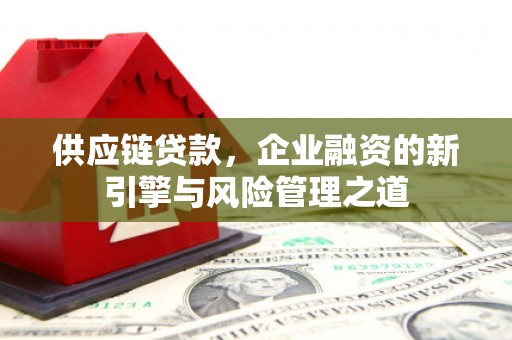 紫阳供应链贷款，企业融资的新引擎与风险管理之道