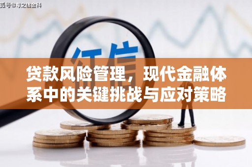 紫阳贷款风险管理，现代金融体系中的关键挑战与应对策略