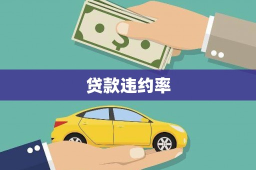 紫阳贷款违约率