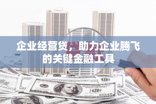 紫阳企业经营贷，助力企业腾飞的关键金融工具