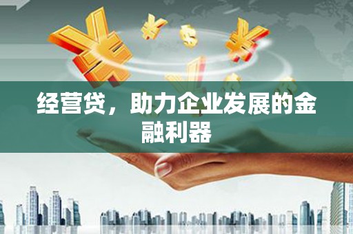 紫阳经营贷，助力企业发展的金融利器