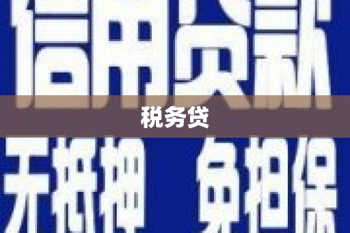 紫阳税务贷