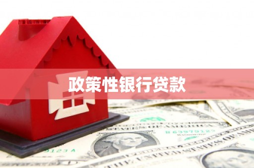 紫阳政策性银行贷款