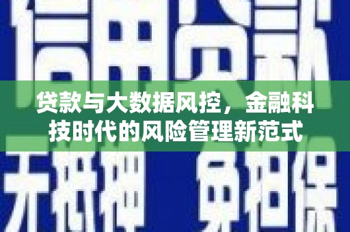 紫阳贷款与大数据风控，金融科技时代的风险管理新范式