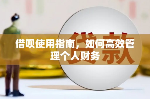 紫阳借呗使用指南，如何高效管理个人财务