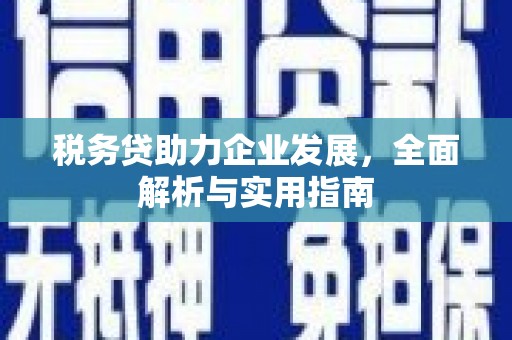 紫阳税务贷助力企业发展，全面解析与实用指南