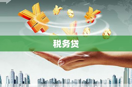 紫阳税务贷