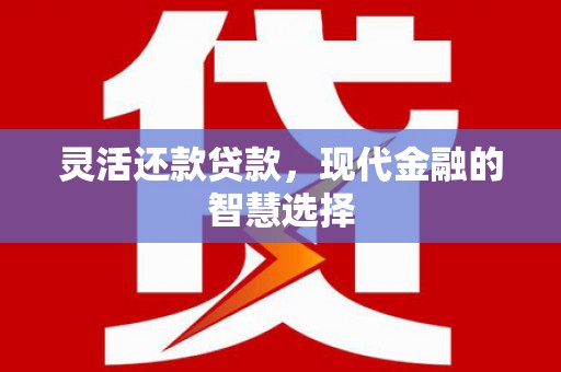 紫阳灵活还款贷款，现代金融的智慧选择