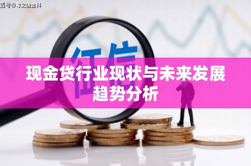 紫阳现金贷行业现状与未来发展趋势分析