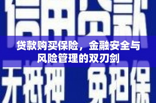 紫阳贷款购买保险，金融安全与风险管理的双刃剑