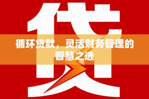 紫阳循环贷款，灵活财务管理的智慧之选