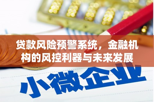 紫阳贷款风险预警系统，金融机构的风控利器与未来发展