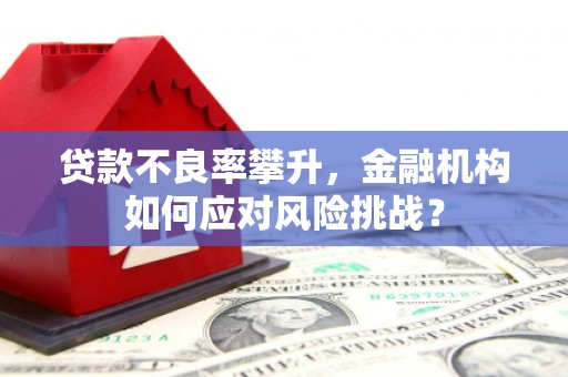 紫阳贷款不良率攀升，金融机构如何应对风险挑战？