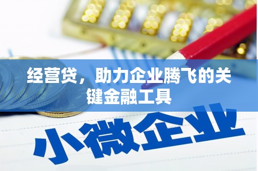 紫阳经营贷，助力企业腾飞的关键金融工具