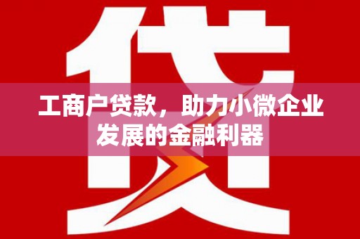 紫阳工商户贷款，助力小微企业发展的金融利器