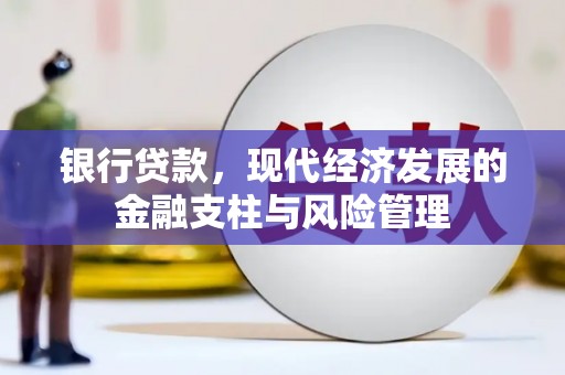 紫阳银行贷款，现代经济发展的金融支柱与风险管理
