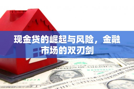 紫阳现金贷的崛起与风险，金融市场的双刃剑