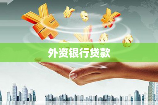 紫阳外资银行贷款
