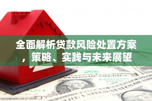 紫阳全面解析贷款风险处置方案，策略、实践与未来展望