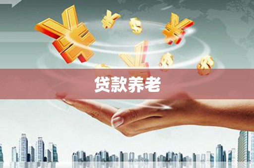 紫阳贷款养老