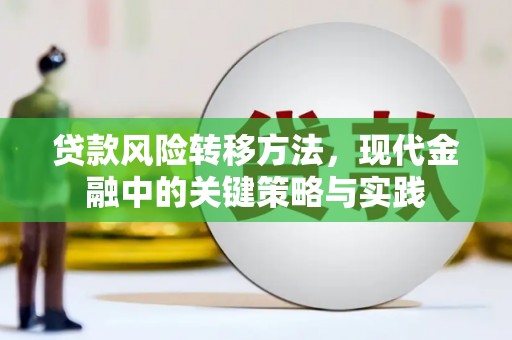紫阳贷款风险转移方法，现代金融中的关键策略与实践