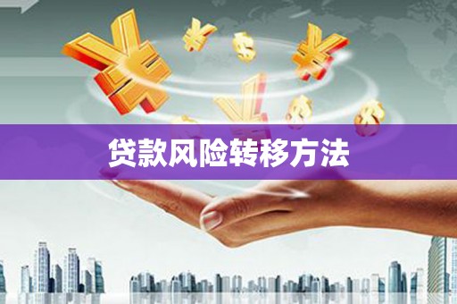 紫阳贷款风险转移方法