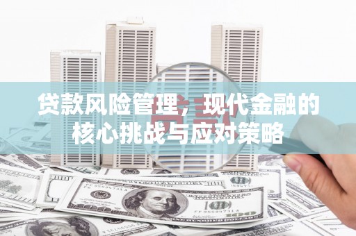 紫阳贷款风险管理，现代金融的核心挑战与应对策略