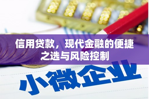 紫阳信用贷款，现代金融的便捷之选与风险控制