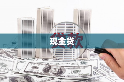 紫阳现金贷