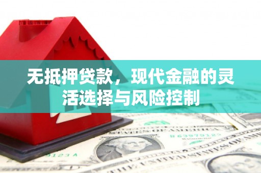 紫阳无抵押贷款，现代金融的灵活选择与风险控制