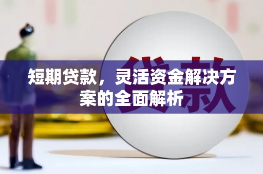 紫阳短期贷款，灵活资金解决方案的全面解析