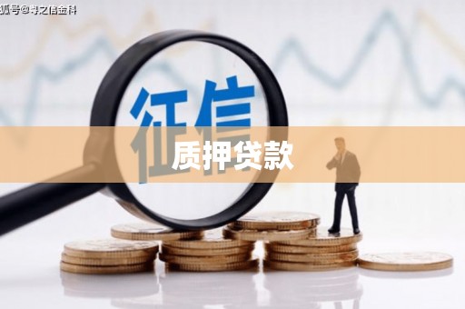 紫阳质押贷款