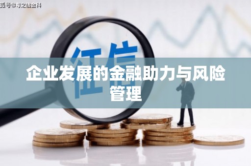 紫阳企业发展的金融助力与风险管理