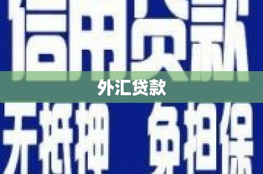 紫阳外汇贷款
