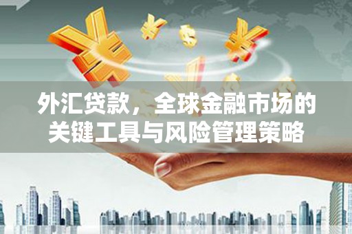 紫阳外汇贷款，全球金融市场的关键工具与风险管理策略