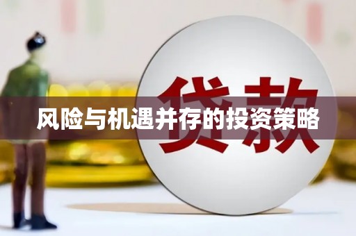 紫阳风险与机遇并存的投资策略